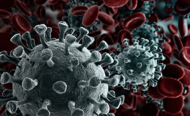 Để bảo vệ con tốt nhất, mẹ cần hiểu rõ về virus Corona! 1 Để bảo vệ con tốt nhất, mẹ cần hiểu rõ về virus Corona! 1