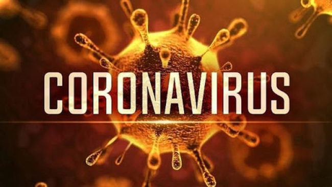 1. Virus Corona – “Ngươi” từ đâu tới? 1 Virus Corona là gì?